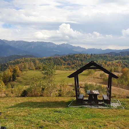La Odai برانْ المظهر الخارجي الصورة