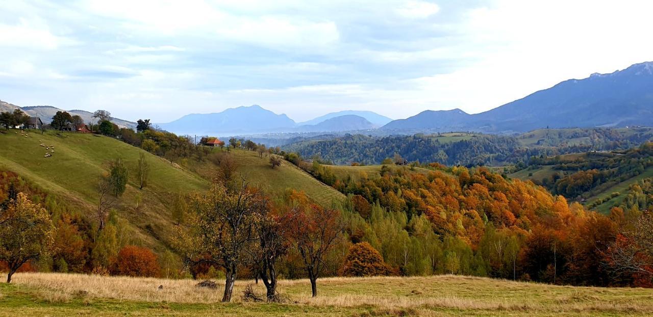 La Odai برانْ المظهر الخارجي الصورة