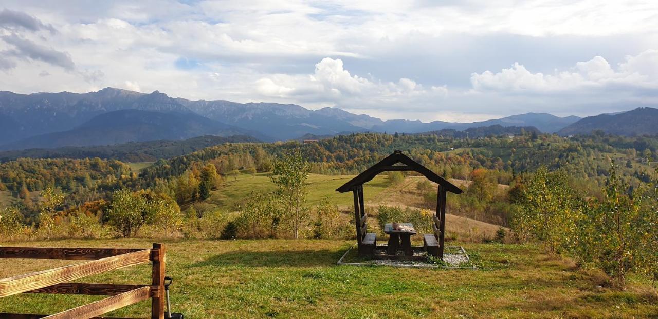 La Odai برانْ المظهر الخارجي الصورة