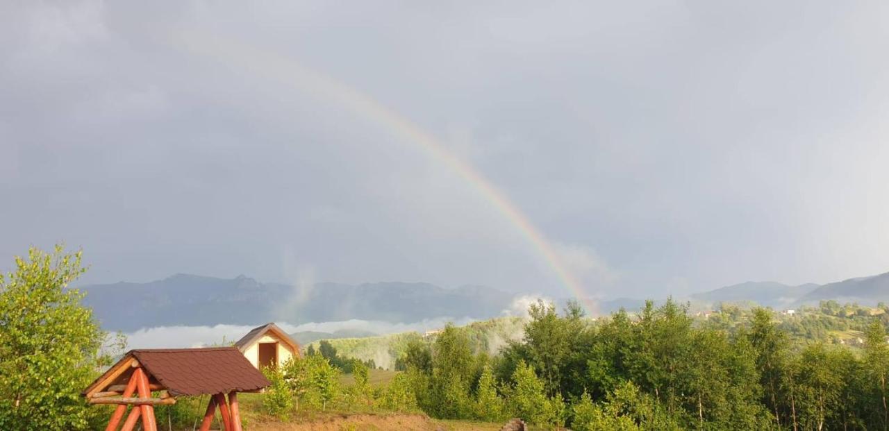 La Odai برانْ المظهر الخارجي الصورة